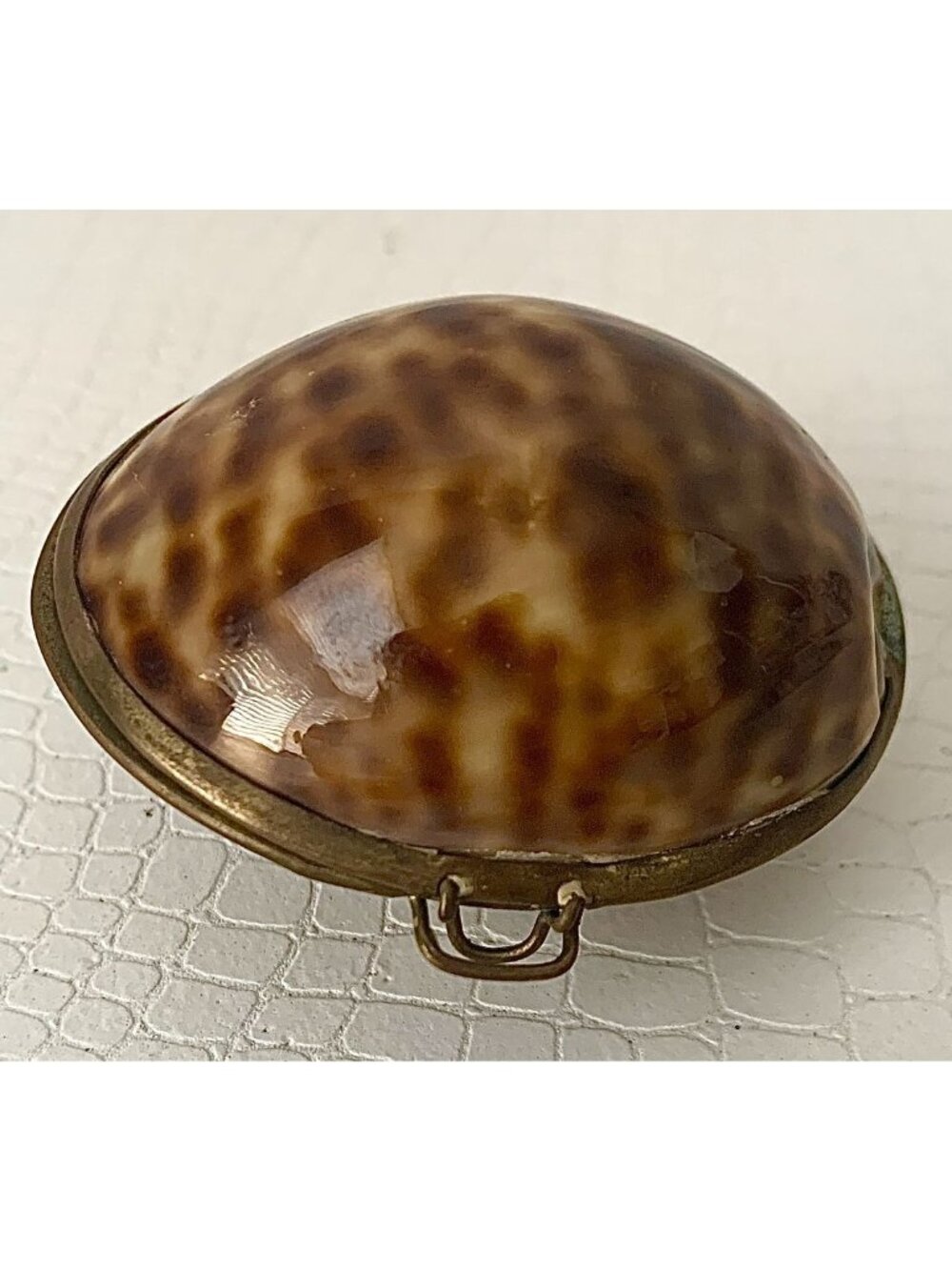 Cowrie Shell Hinged Trinket Box With Metal Rim & Snap Closure